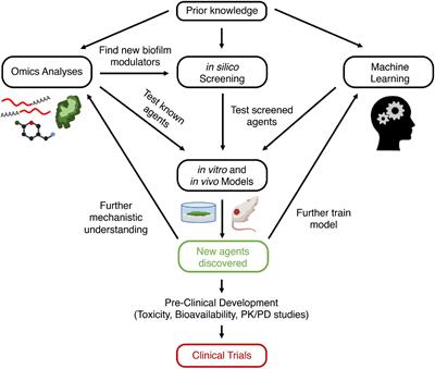 An Overview of Biological and Computational Methods for Designing Mechanism-Informed Anti-biofilm Agents